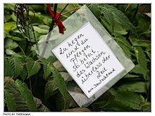 der_schoenste_garten_00.jpg