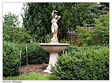der_schoenste_garten_01.jpg