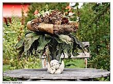 der_schoenste_garten_03.jpg