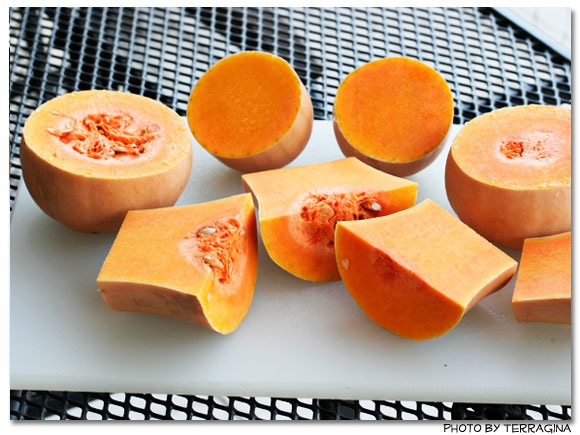 butternut_02.jpg