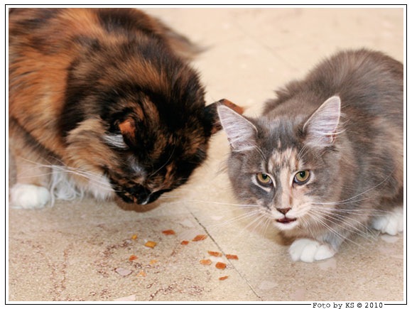 bev_nala_20100110.jpg