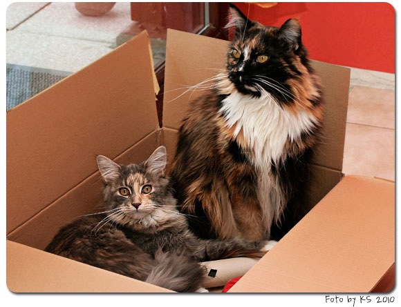 bev_nala_20100120.jpg