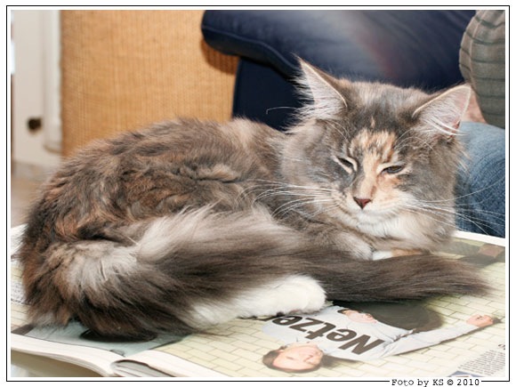 nala_20100110_02.jpg