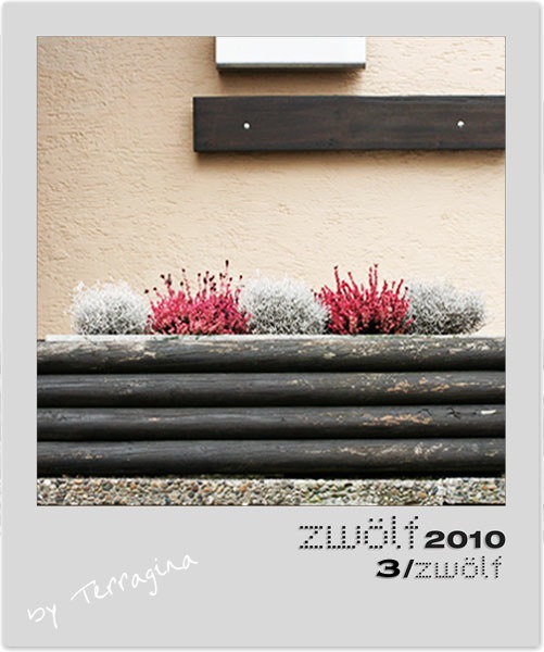 blumenkasten_03_501x600.jpg