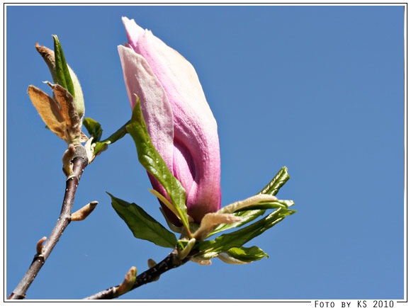 spaziergang_01.jpg