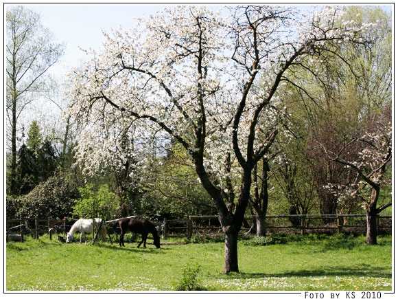 spaziergang_02.jpg