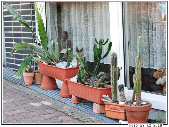 spaziergang_06.jpg