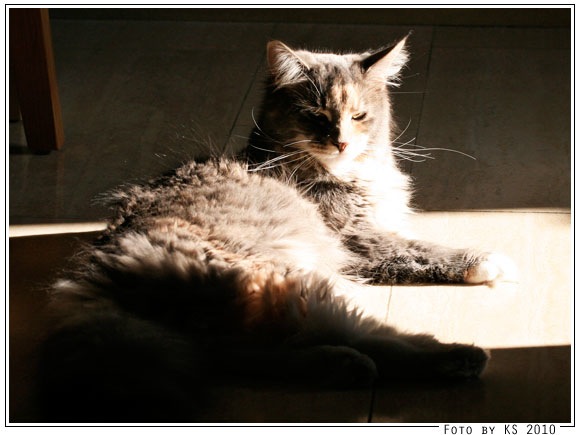 nala_20100504_01.jpg