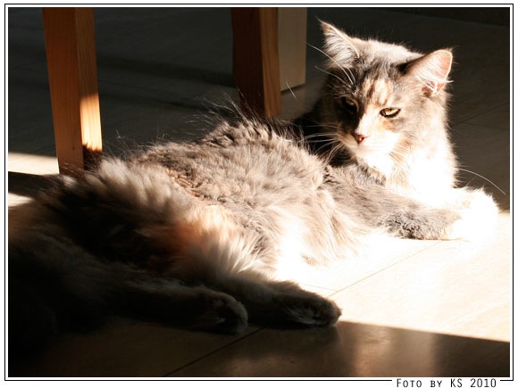 nala_20100504_04.jpg