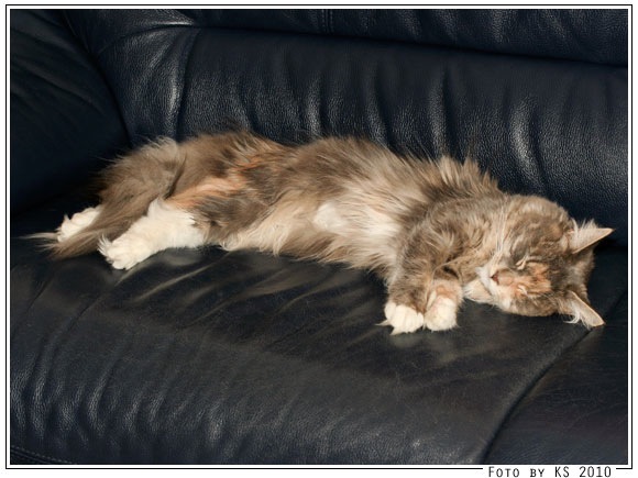 nala_20100506.jpg