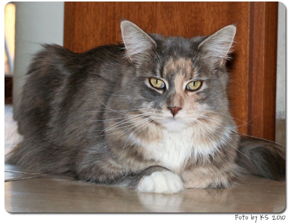 nala_20100518.jpg