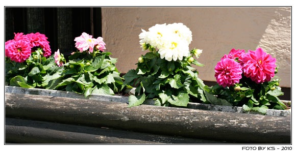 blumenkasten.jpg