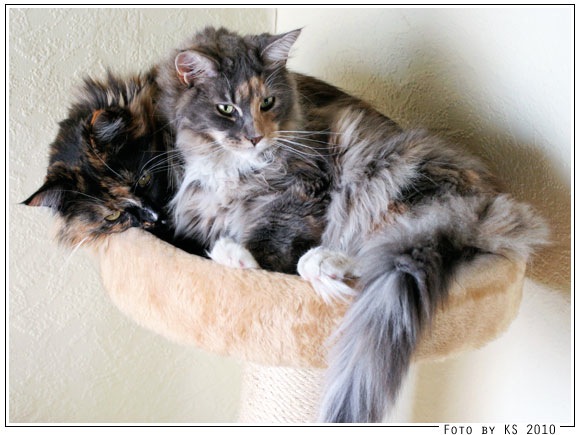 bev_nala_20100818_01.jpg