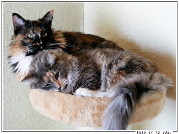bev_nala_20100818_02.jpg