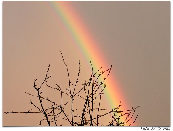 regenbogen_01.jpg