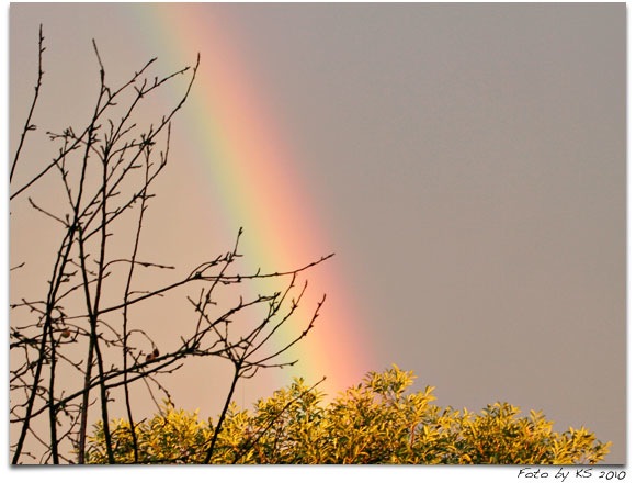 regenbogen_02.jpg