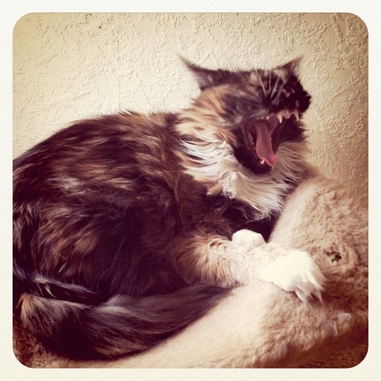 instagram_beverly_20101108.jpg
