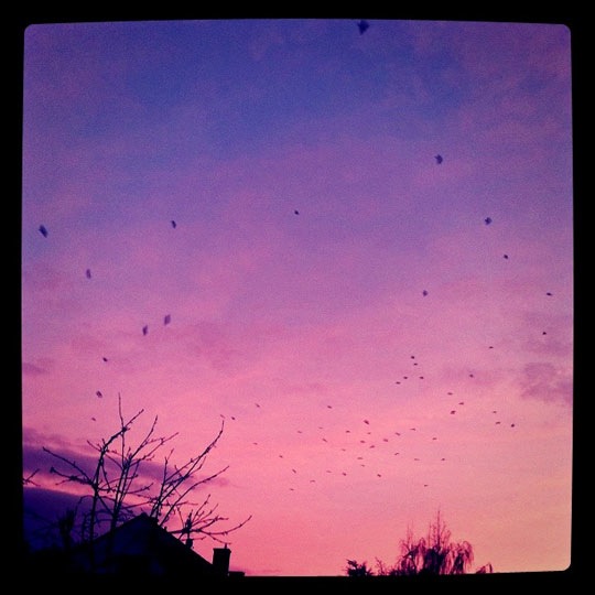 instagram_sky_is_burning.jpg