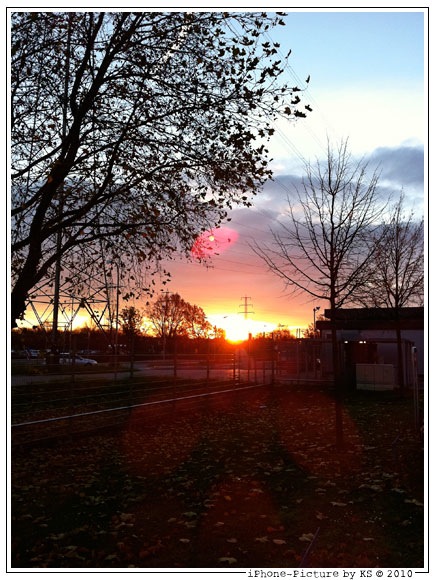 sonnenaufgang_firma.jpg