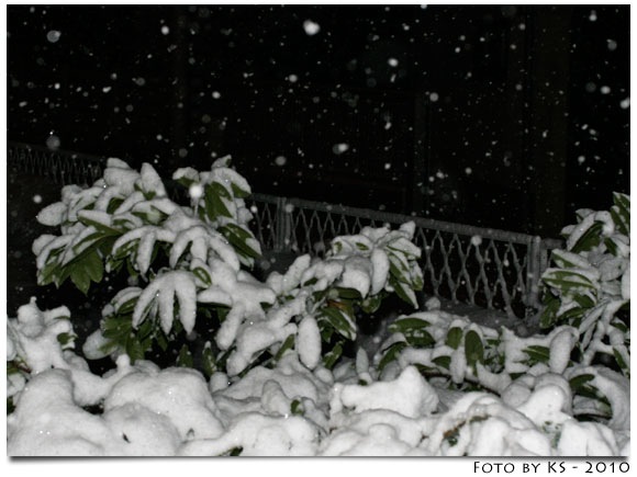 winter_01.jpg