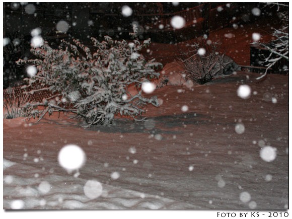 winter_02.jpg