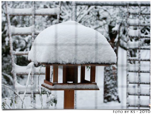 winter_03.jpg
