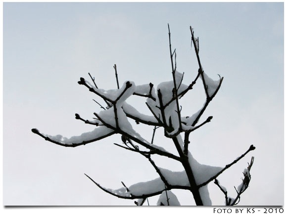 winter_04.jpg