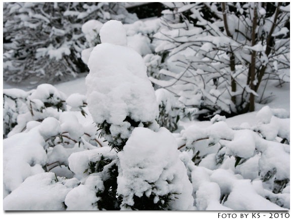 winter_06.jpg