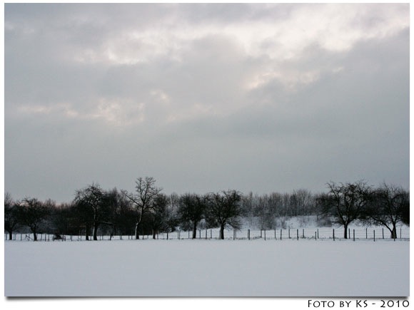 winter_07.jpg