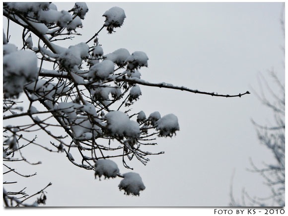winter_08.jpg
