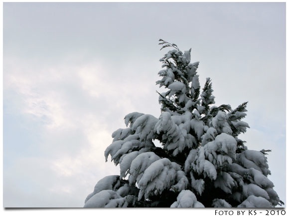 winter_09.jpg
