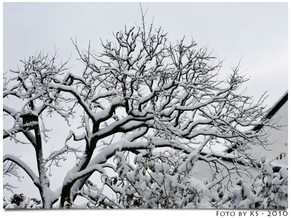 winter_10.jpg