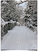 ...wenn noch kaum jemand im Schnee unterwegs war...