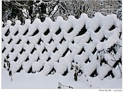 Winter ist nicht schÃ¶n?