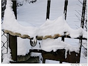 Ein Stillleben...