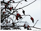 ... und noch eines...