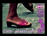 projekt-cam-underfoot-2011.jpg