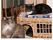 Wir haben alle Platz (auch wenn Nala gerade daneben sitzt)
