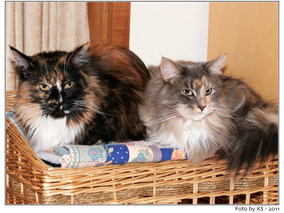 bev_nala_20110217.jpg
