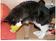 Das ist ja ein lustiges gelbes Ding!
