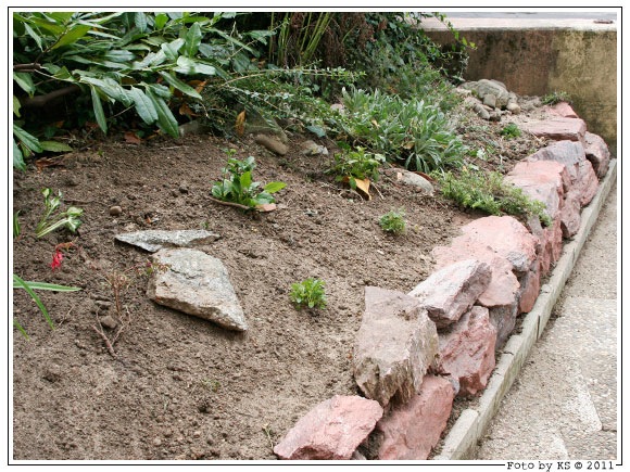 garten_20110706.jpg