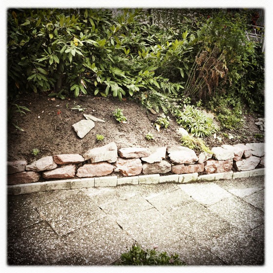 garten_hipsta_20110706_01.jpg