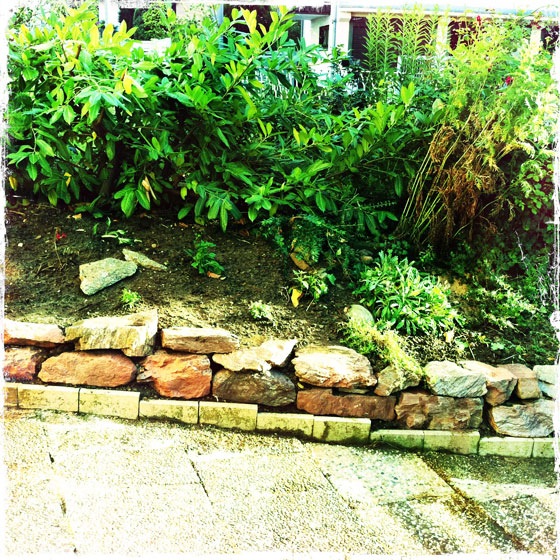 garten_hipsta_20110706_02.jpg