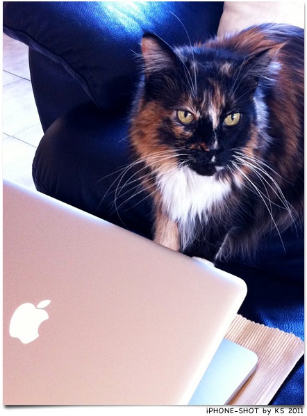 beverly_macbook.jpg