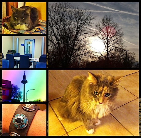 My Weekly Pics 02/2012.jpg
