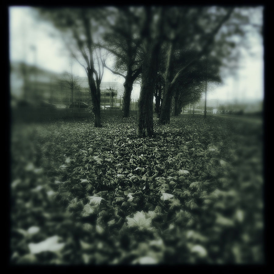 hipsta-herbst_01