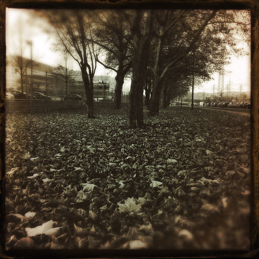 hipsta-herbst_02