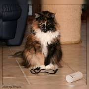 Alles meins!!