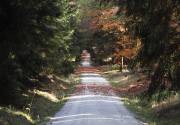 Der Taunus im bunten Herbstkleid 01