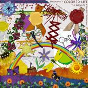 Colored Life by Terragina Graphix - Elements I